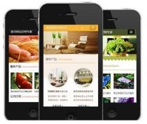 手機(jī)網(wǎng)站怎樣做才更有效果？如何做優(yōu)化？