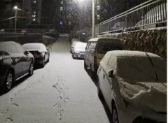 青島！大雪！大愛！